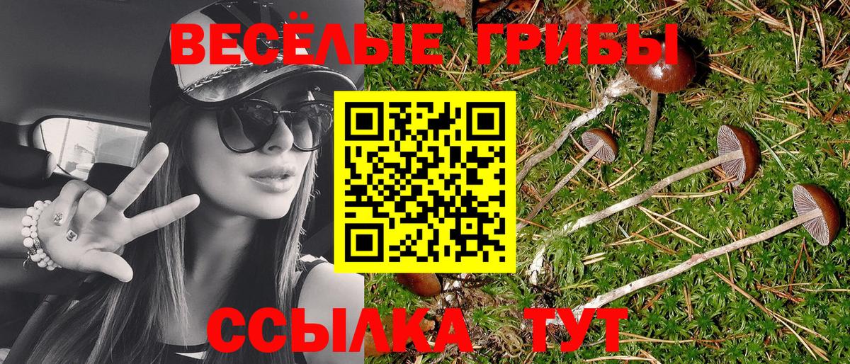 Псилоцибиновые грибы Cubensis Шали