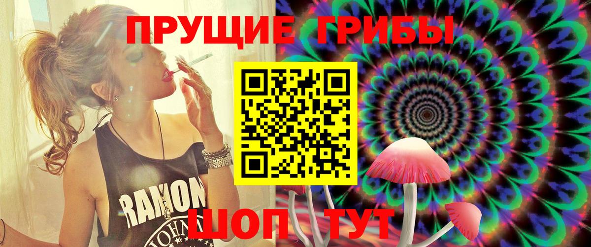 Псилоцибиновые грибы Cubensis  Вход с VPN  купить наркоту  Шали 